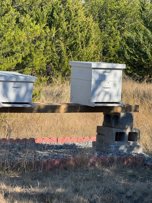 Busy Days in the Hive and the Kitchen